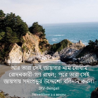 Picture 03 - বিচাৰকর্তাবিলাক 2:5 BENIRV - আর তারা সেই - Bible Verse Picture