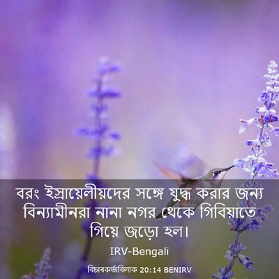 Picture 03 - বিচাৰকর্তাবিলাক 20:14 BENIRV - বরং - Bible Verse Picture