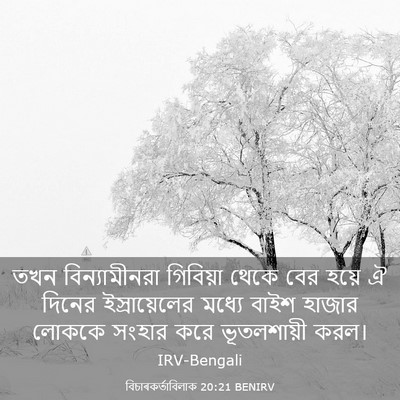 Picture 03 - বিচাৰকর্তাবিলাক 20:21 BENIRV - তখন বিন্যামীনরা - Bible Verse Picture