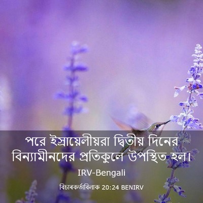 Picture 03 - বিচাৰকর্তাবিলাক 20:24 BENIRV - পরে - Bible Verse Picture