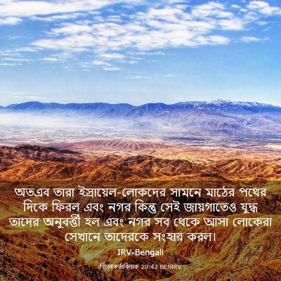 Picture 03 - বিচাৰকর্তাবিলাক 20:42 BENIRV - অতএব তারা - Bible Verse Picture
