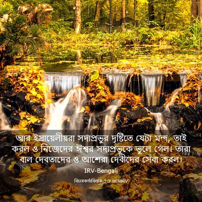 Picture 03 - বিচাৰকর্তাবিলাক 3:7 BENIRV - আর ইস্রায়েলীয়রা - Bible Verse Picture