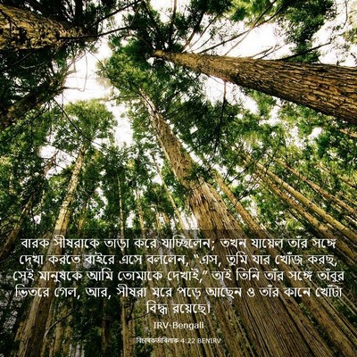 Picture 03 - বিচাৰকর্তাবিলাক 4:22 BENIRV - বারক সীষরাকে - Bible Verse Picture