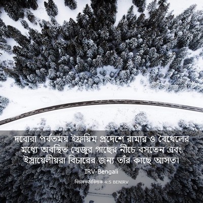Picture 03 - বিচাৰকর্তাবিলাক 4:5 BENIRV - দবোরা পর্বতময় - Bible Verse Picture