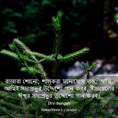 Picture 03 - বিচাৰকর্তাবিলাক 5:3 BENIRV - রাজারা শোনো; - Bible Verse Picture