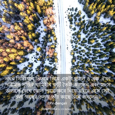 Picture 03 - বিচাৰকর্তাবিলাক 6:19 BENIRV - তখন গিদিয়োন - Bible Verse Picture
