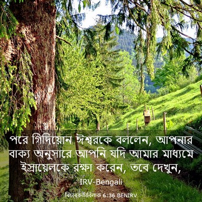 Picture 03 - বিচাৰকর্তাবিলাক 6:36 BENIRV - পরে গিদিয়োন - Bible Verse Picture