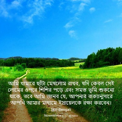 Picture 03 - বিচাৰকর্তাবিলাক 6:37 BENIRV - আমি খামারে ছাঁটা - Bible Verse Picture