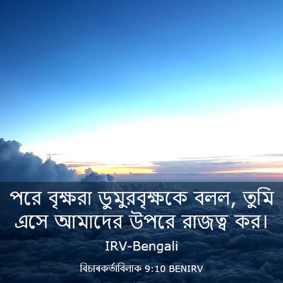 Picture 03 - বিচাৰকর্তাবিলাক 9:10 BENIRV - পরে বৃক্ষরা - Bible Verse Picture