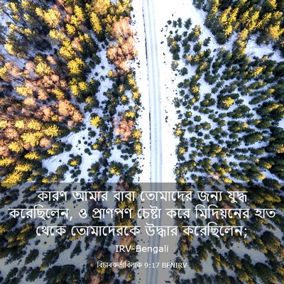 Picture 03 - বিচাৰকর্তাবিলাক 9:17 BENIRV - কারণ আমার বাবা - Bible Verse Picture