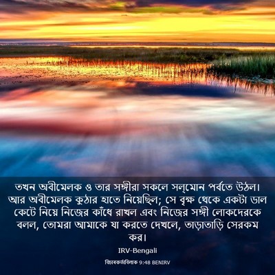 Picture 03 - বিচাৰকর্তাবিলাক 9:48 BENIRV - তখন অবীমেলক ও তার - Bible Verse Picture