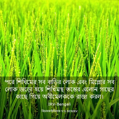Picture 03 - বিচাৰকর্তাবিলাক 9:6 BENIRV - পরে শিখিমের সব - Bible Verse Picture