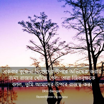 Picture 03 - বিচাৰকর্তাবিলাক 9:8 BENIRV - একবার বৃক্ষেরা - Bible Verse Picture