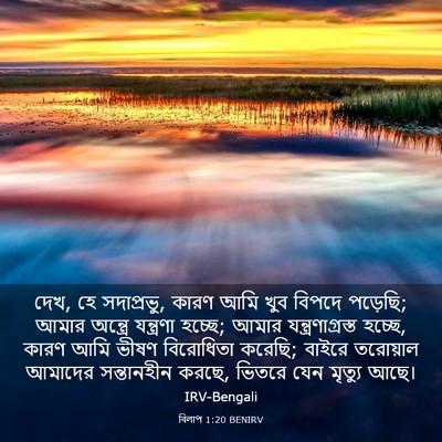Picture 03 - বিলাপ 1:20 BENIRV - দেখ, হে সদাপ্রভু, - Bible Verse Picture