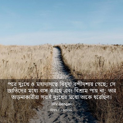 Picture 03 - বিলাপ 1:3 BENIRV - পরে দুঃখে ও - Bible Verse Picture