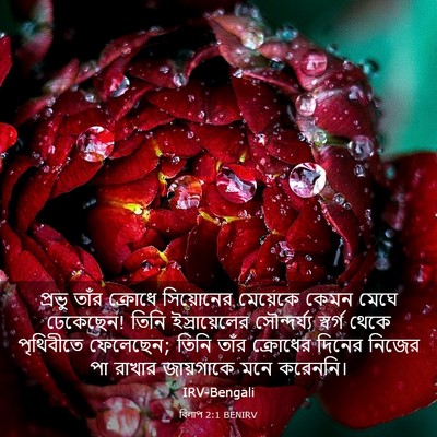 Picture 03 - বিলাপ 2:1 BENIRV - প্রভু তাঁর ক্রোধে - Bible Verse Picture