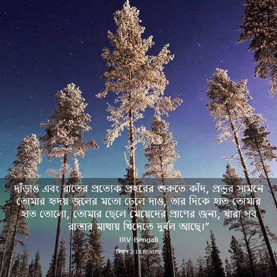 Picture 03 - বিলাপ 2:19 BENIRV - দাঁড়াও এবং রাতের - Bible Verse Picture