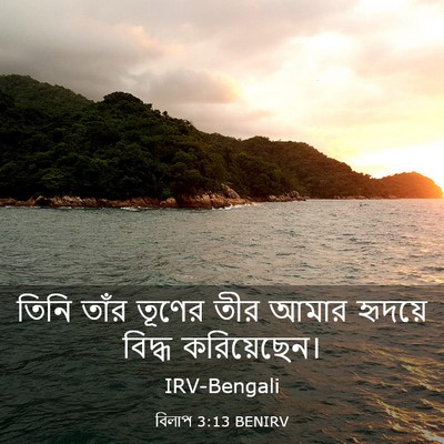 Picture 03 - বিলাপ 3:13 BENIRV - তিনি তাঁর তূণের - Bible Verse Picture