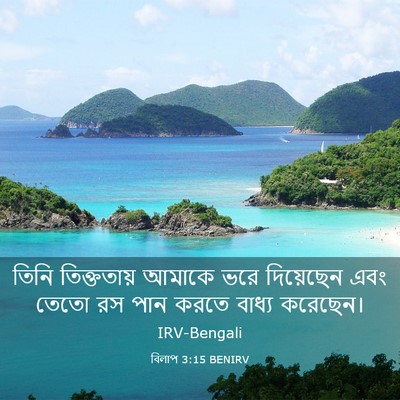 Picture 03 - বিলাপ 3:15 BENIRV - তিনি তিক্ততায় - Bible Verse Picture