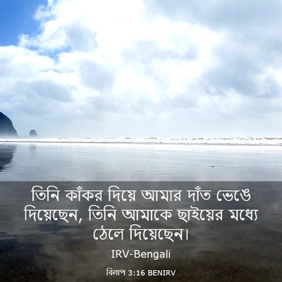 Picture 03 - বিলাপ 3:16 BENIRV - তিনি কাঁকর দিয়ে - Bible Verse Picture