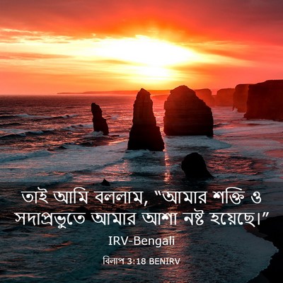 Picture 03 - বিলাপ 3:18 BENIRV - তাই আমি বললাম, - Bible Verse Picture