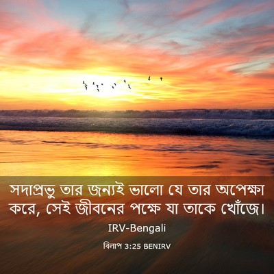 Picture 03 - বিলাপ 3:25 BENIRV - সদাপ্রভু তার - Bible Verse Picture