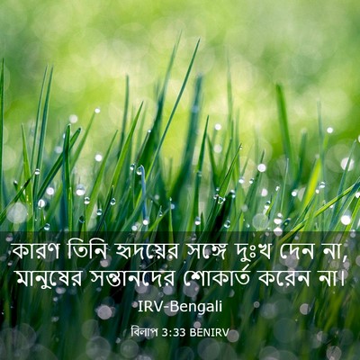 Picture 03 - বিলাপ 3:33 BENIRV - কারণ তিনি হৃদয়ের - Bible Verse Picture