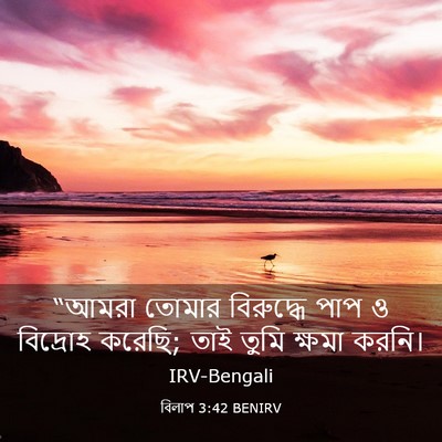 Picture 03 - বিলাপ 3:42 BENIRV - “আমরা তোমার - Bible Verse Picture