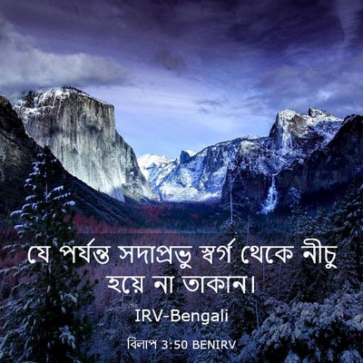Picture 03 - বিলাপ 3:50 BENIRV - যে পর্যন্ত - Bible Verse Picture