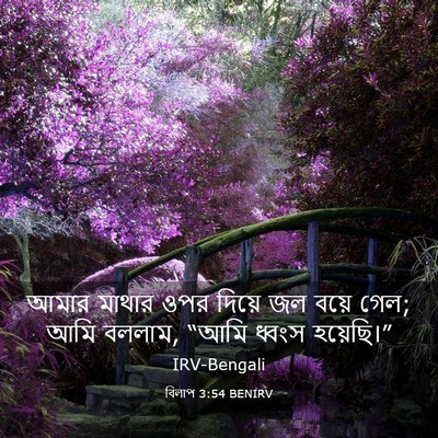 Picture 03 - বিলাপ 3:54 BENIRV - আমার মাথার ওপর - Bible Verse Picture