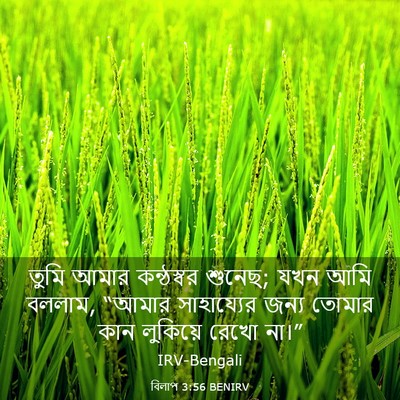 Picture 03 - বিলাপ 3:56 BENIRV - তুমি আমার - Bible Verse Picture