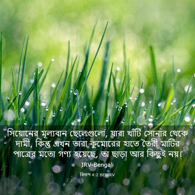 Picture 03 - বিলাপ 4:2 BENIRV - সিয়োনের মূল্যবান - Bible Verse Picture