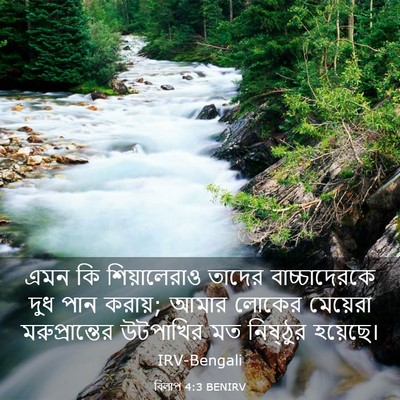 Picture 03 - বিলাপ 4:3 BENIRV - এমন কি শিয়ালেরাও - Bible Verse Picture
