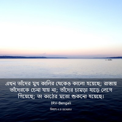 Picture 03 - বিলাপ 4:8 BENIRV - এখন তাঁদের মুখ - Bible Verse Picture