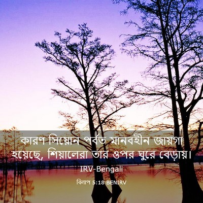 Picture 03 - বিলাপ 5:18 BENIRV - কারণ সিয়োন পর্বত - Bible Verse Picture