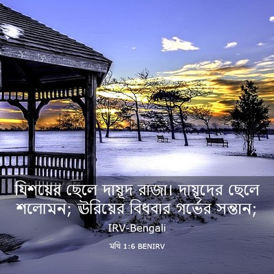 Picture 03 - মথি 1:6 BENIRV - যিশয়ের ছেলে - Bible Verse Picture