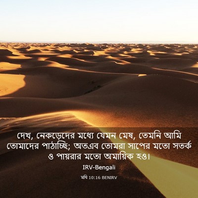 Picture 03 - মথি 10:16 BENIRV - দেখ, নেকড়েদের - Bible Verse Picture