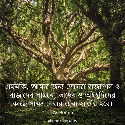 Picture 03 - মথি 10:18 BENIRV - এমনকি, আমার জন্য - Bible Verse Picture