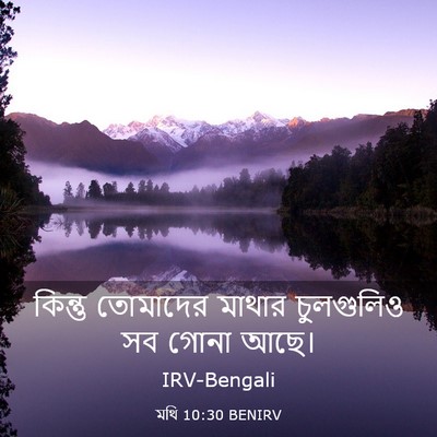 Picture 03 - মথি 10:30 BENIRV - কিন্তু তোমাদের - Bible Verse Picture