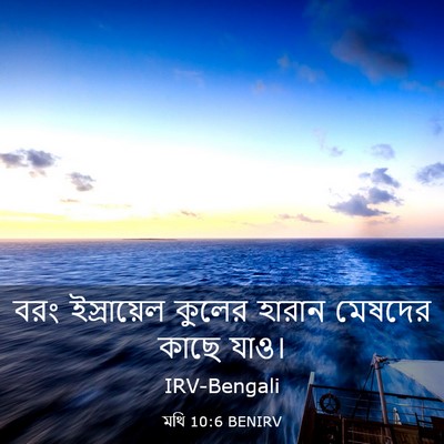Picture 03 - মথি 10:6 BENIRV - বরং ইস্রায়েল - Bible Verse Picture