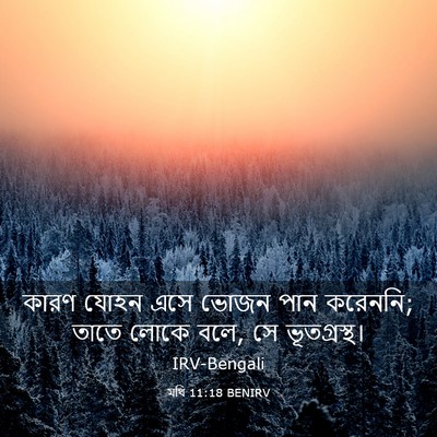 Picture 03 - মথি 11:18 BENIRV - কারণ যোহন এসে ভোজন - Bible Verse Picture