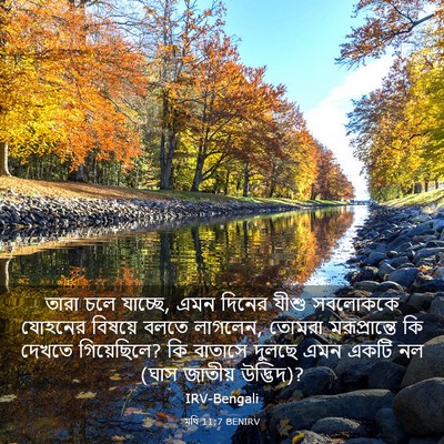Picture 03 - মথি 11:7 BENIRV - তারা চলে যাচ্ছে, - Bible Verse Picture