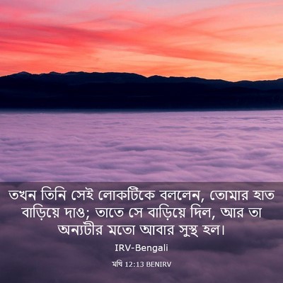 Picture 03 - মথি 12:13 BENIRV - তখন তিনি সেই - Bible Verse Picture