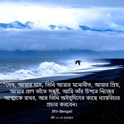 Picture 03 - মথি 12:18 BENIRV - “দেখ, আমার দাস, - Bible Verse Picture