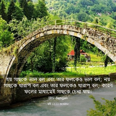 Picture 03 - মথি 12:33 BENIRV - হয় গাছকে ভাল বল - Bible Verse Picture