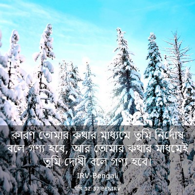 Picture 03 - মথি 12:37 BENIRV - কারণ তোমার কথার - Bible Verse Picture