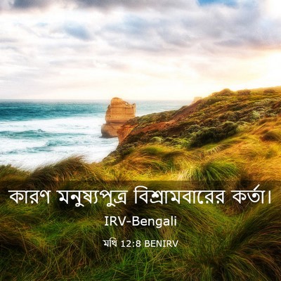 Picture 03 - মথি 12:8 BENIRV - কারণ মনুষ্যপুত্র - Bible Verse Picture