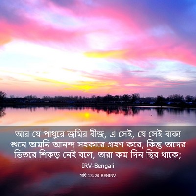Picture 03 - মথি 13:20 BENIRV - আর যে পাথুরে জমির - Bible Verse Picture