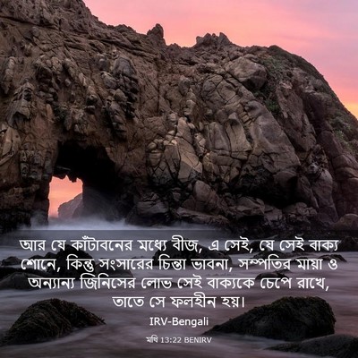 Picture 03 - মথি 13:22 BENIRV - আর যে কাঁটাবনের - Bible Verse Picture