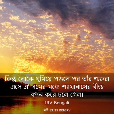 Picture 03 - মথি 13:25 BENIRV - কিন্তু লোকে - Bible Verse Picture